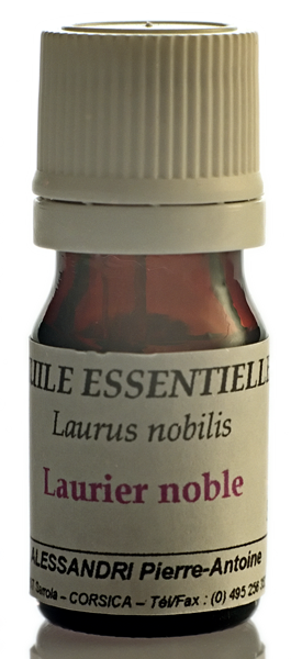 HE Laurier noble - Laurus nobilis 5ml