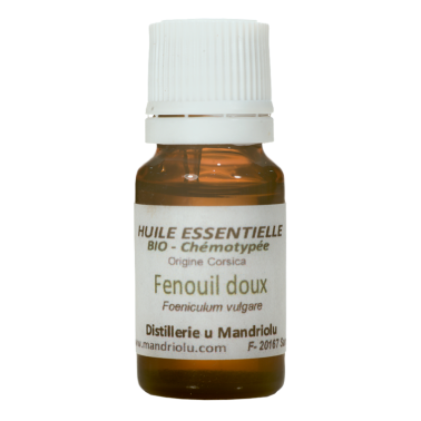 Fenouil doux