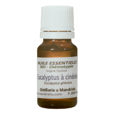 Eucalyptus à cinéole